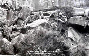 9e Hussards- Lamy 058